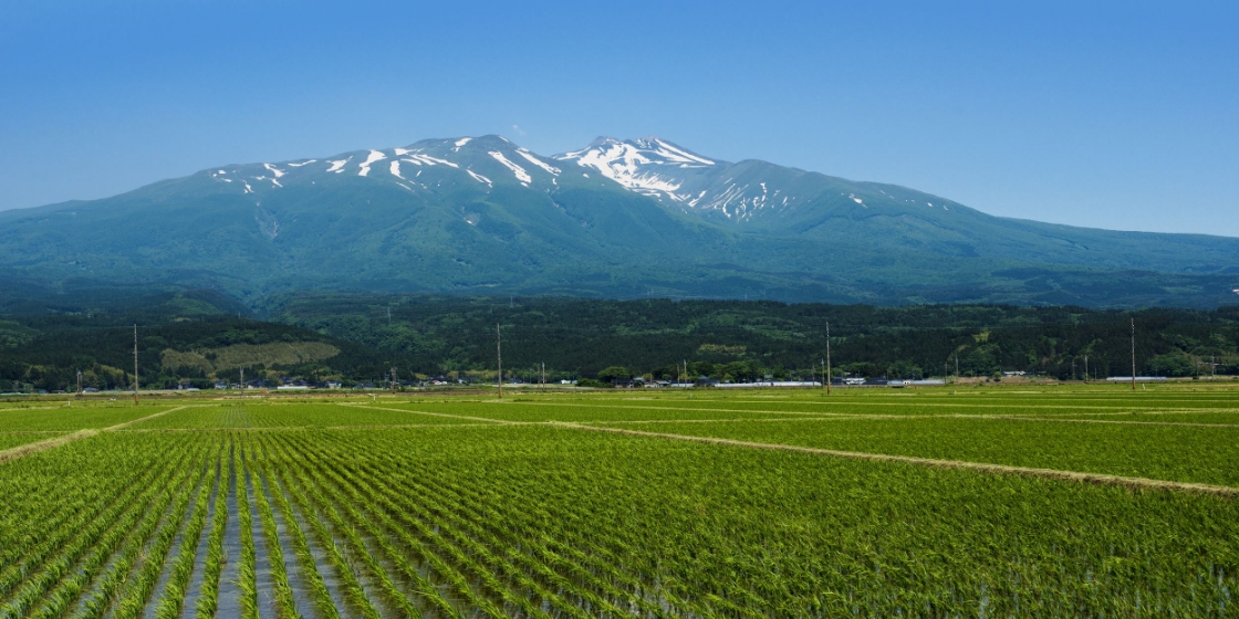 写真：鳥海山